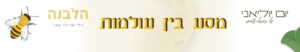 הרצאה מסע בין עולמות, מסע בין עולמות, הרצאה